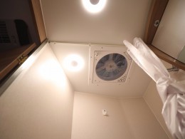 WLH_3954
