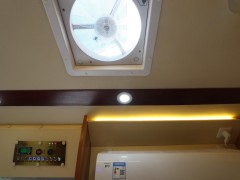 WLH_8876