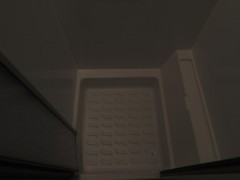 WLH_2874