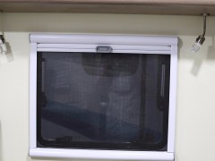 WLH_2618