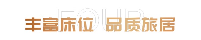 便捷旅居再度升级，宇通B313凭实力出圈！