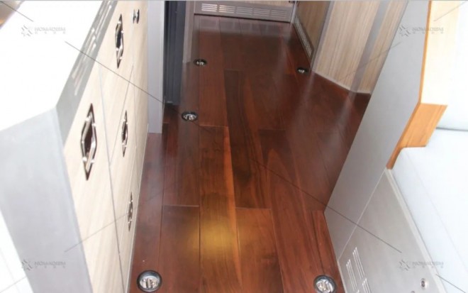 诺玛迪森越野房车：开往南极的战车图片