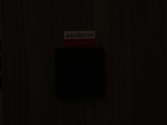 WLH_8548