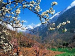 fff4607089b860fca8f5e9f0892dec70