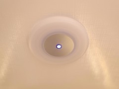 WLH_3962