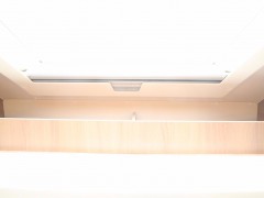 WLH_9068