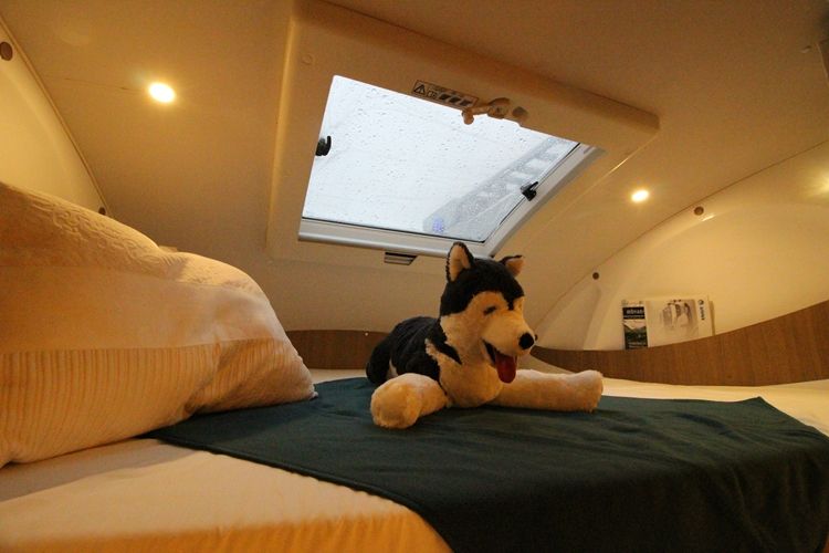 旌航房车巍浩(WH-593-2)auto_3770