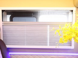WLH_2479