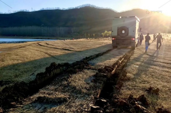 诺玛迪森：2020再见，2021我们牛气冲天！图片