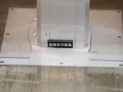 WLH_8558