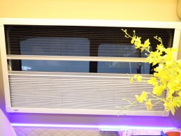 WLH_2617
