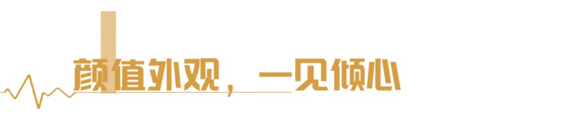 C533旗舰版无拓展｜家、公司，你的第三空间？图片