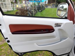 金杯大海狮 2016年落户