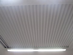 IMG_7234