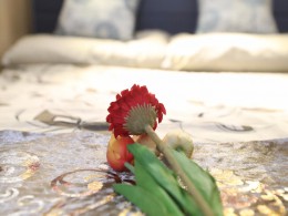 WLH_4794