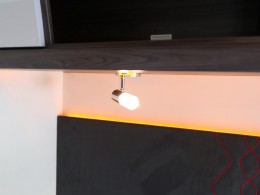WLH_1398