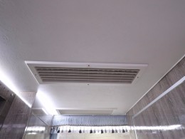 WLH_8269