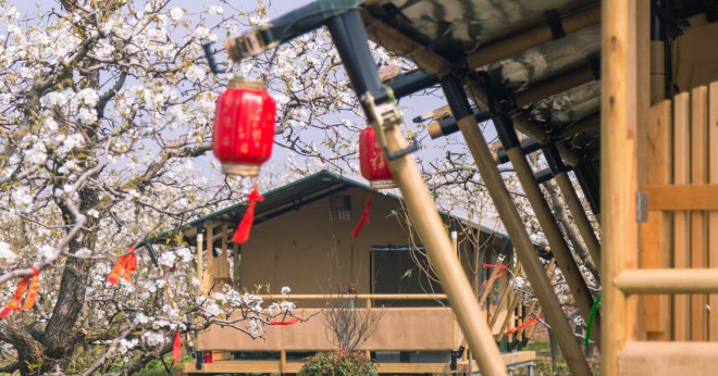 安徽砀山东篱蓬芦梨园帐篷酒店（41平）喜马拉雅野奢帐篷酒店&mdash;安徽砀山东篱蓬芦（梨园41平）13