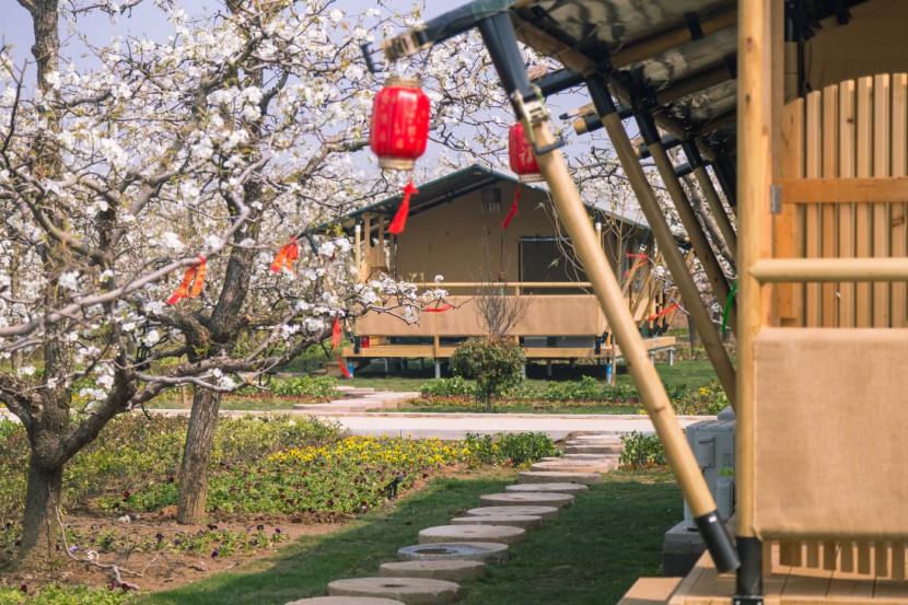 安徽砀山东篱蓬芦梨园帐篷酒店（78平）喜马拉雅野奢帐篷酒店&mdash;安徽砀山东篱蓬芦（梨园78平）19