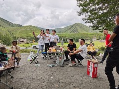 吉利 吉利增程式新能源