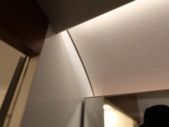 WLH_2937