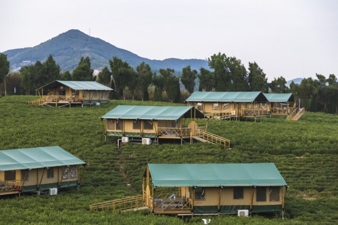 江苏常州宝盛园茶园帐篷酒店夜景喜马拉雅野奢帐篷酒店&mdash;宝盛园夜色13
