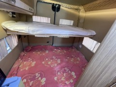 大通 B型