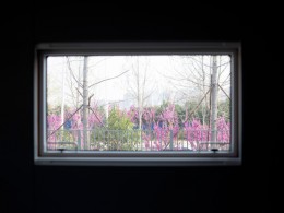 ffb904e7adbec5663142c26909