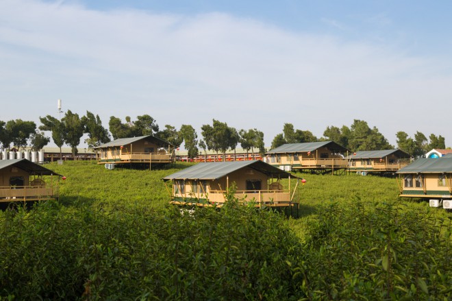 江苏常州茅山宝盛园2期茶园帐篷酒店喜马拉雅野奢帐篷酒店&mdash;江苏常州茅山宝盛园2期茶田帐篷酒店5
