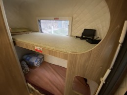 寄居蟹 c型