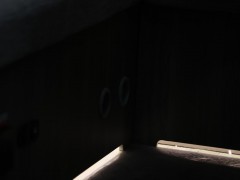 WLH_8484