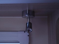 WLH_6833