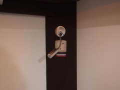 WLH_0768