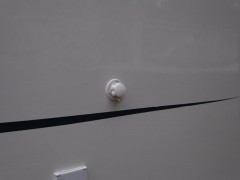 IMG_9388