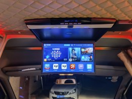 大通 B型