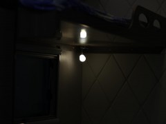 WLH_8547