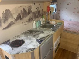 威士捷 黑豹微卡