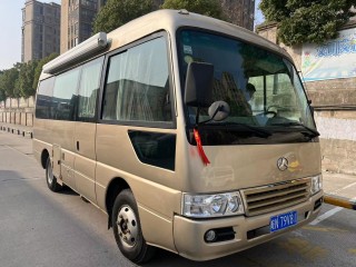 晶马 B型罗莎