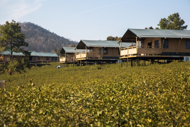江苏常州茅山宝盛园2期茶园帐篷酒店喜马拉雅野奢帐篷酒店&mdash;江苏常州茅山宝盛园2期茶田帐篷酒店9