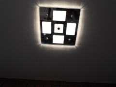 WLH_2174