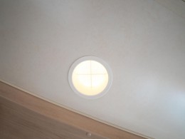 WLH_5290