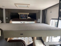 金冠 T型小额头