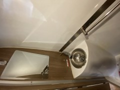 寄居蟹 c型