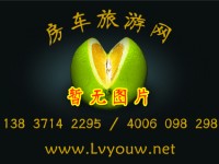 齐星福特新全顺