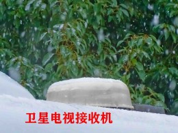 新飞房车 未知