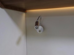 WLH_2878