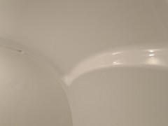 WLH_2878