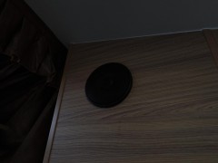 WLH_2177