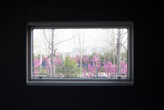 德野诺玛迪森“领航者M”：驭山逐海，擎天撼地