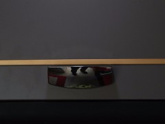 WLH_5570